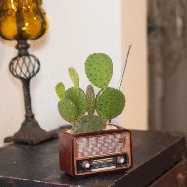 Vintage Radio Design Planter