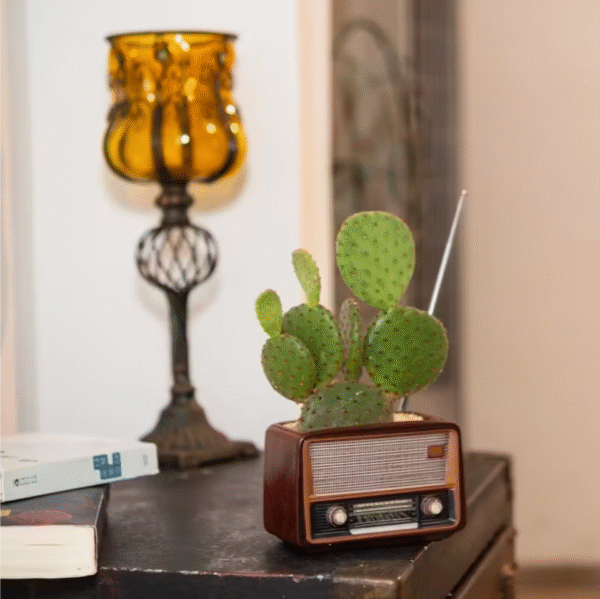 Vintage Radio Design Planter